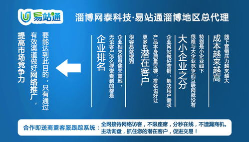 淄博网泰科技 张店区网络推广与技术服务专家